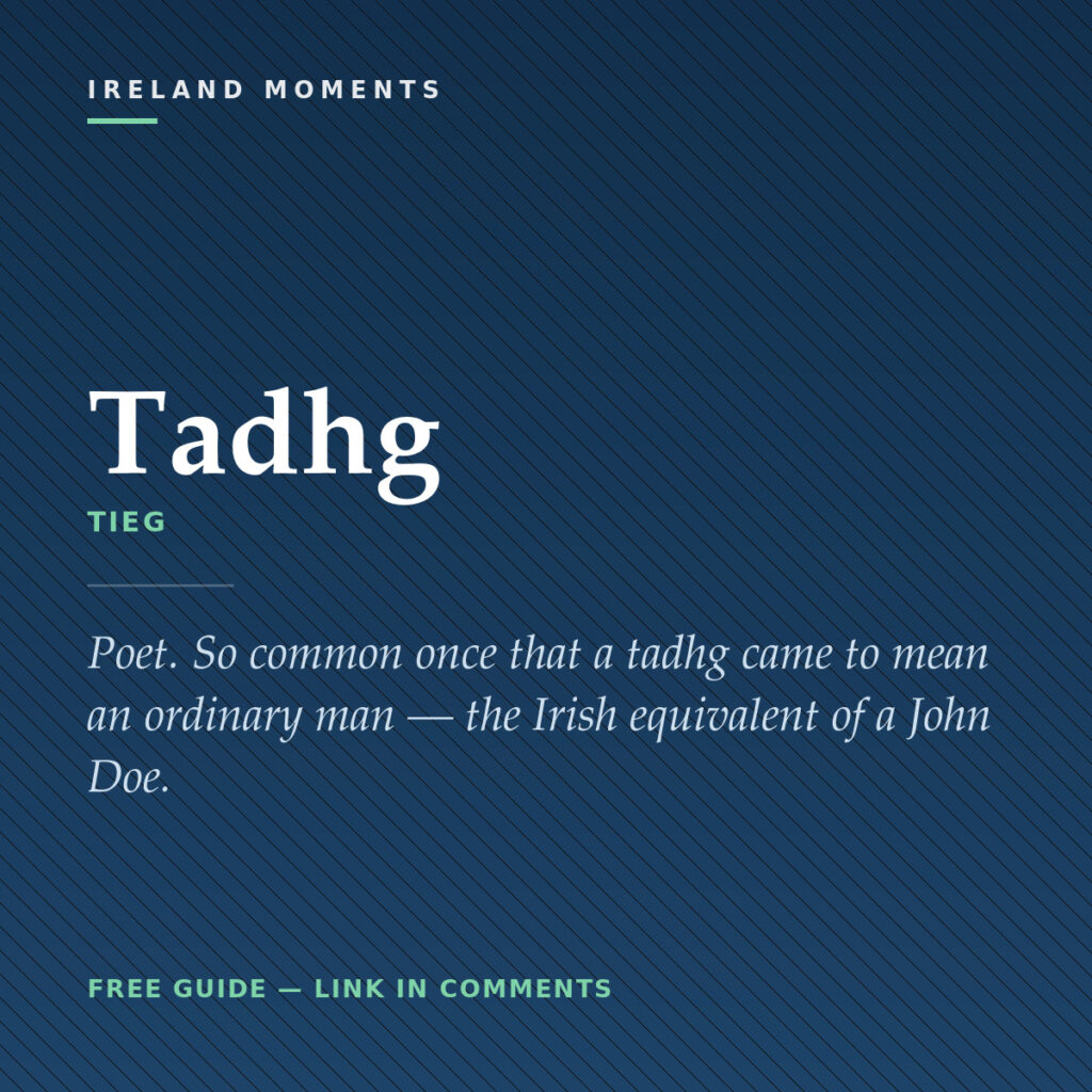 Typography design featuring Irish word Tadhg with definition on blue background