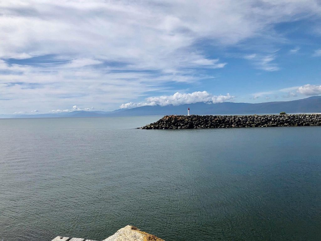 Westport Tip Head.jpg