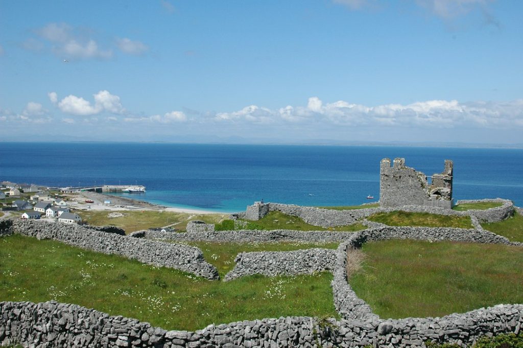 a view of the ocean from the top of a hill
