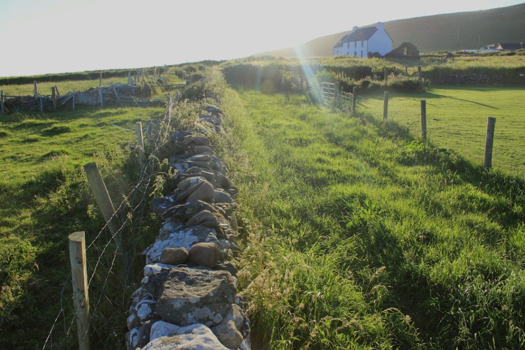 Why Connemara's Stone Walls Tell Ireland's Toughest Story