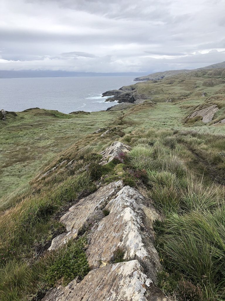 Sheep's-Head Coastal-View.jpg